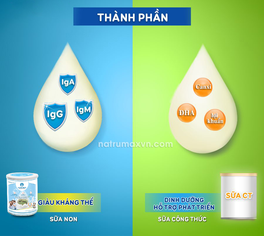 thành phần sữa non và sữa công thức